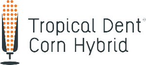 picto_tropical_dent_simple